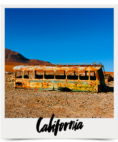 California Polaroid - The Girls