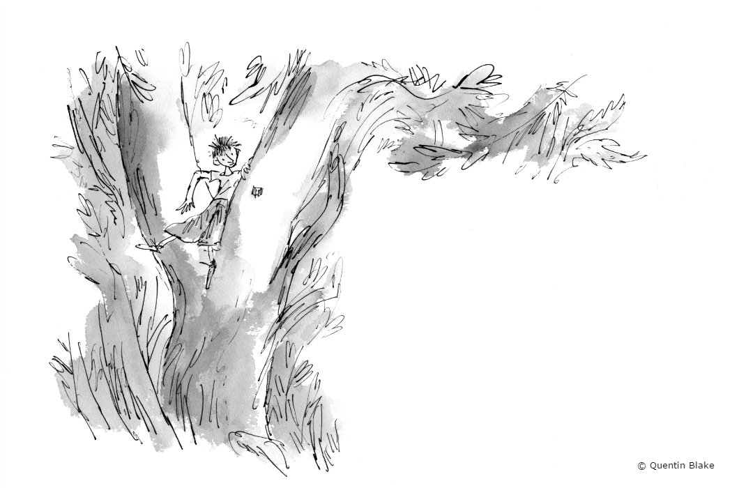 boy hiding in tree