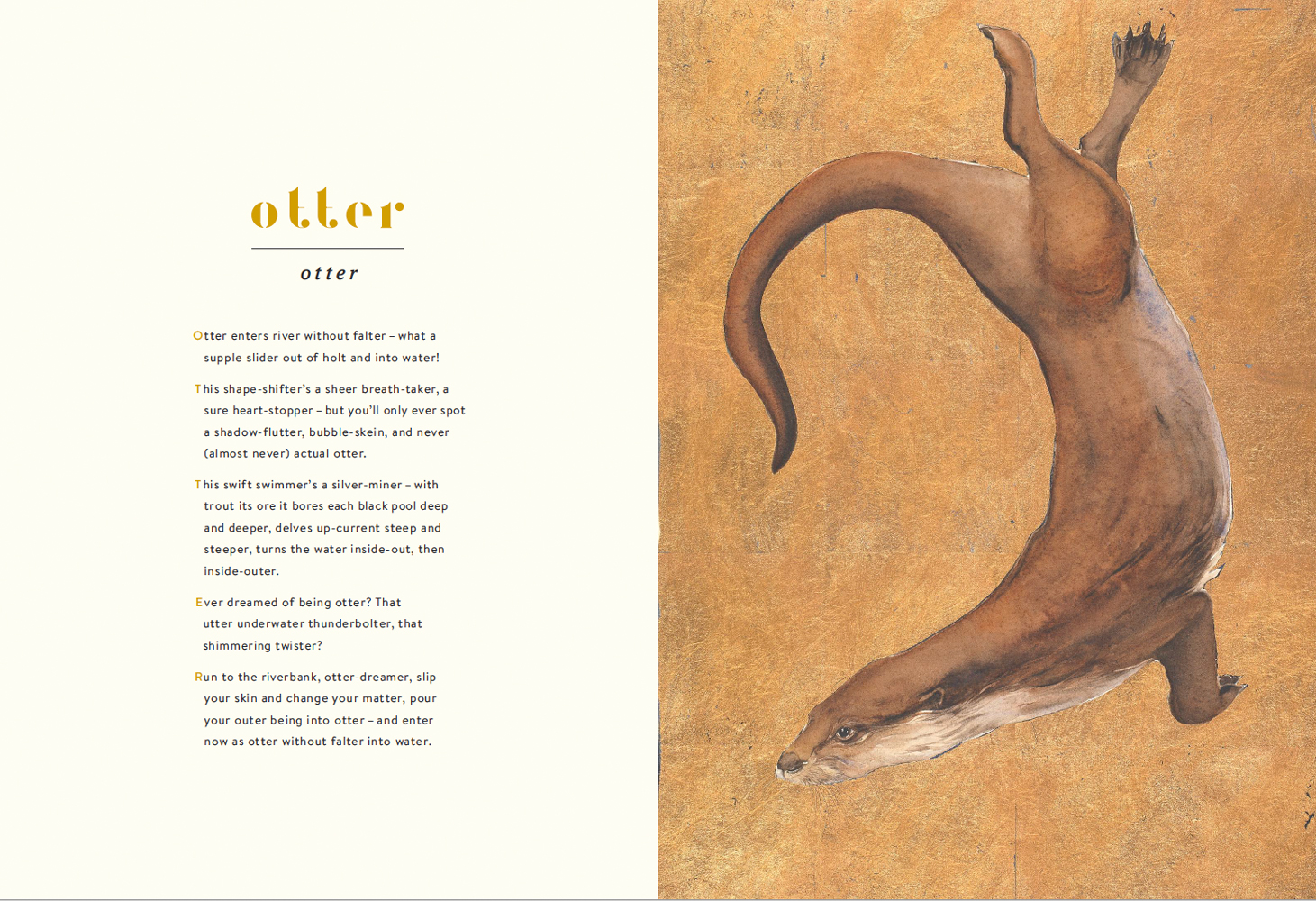 The Otter's spell