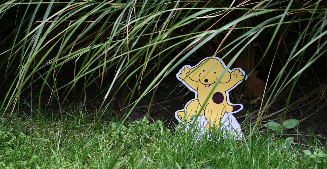 dog standee, grass