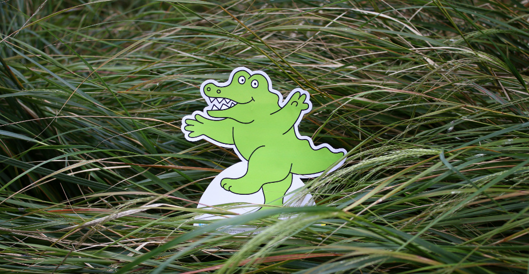 Alligator 