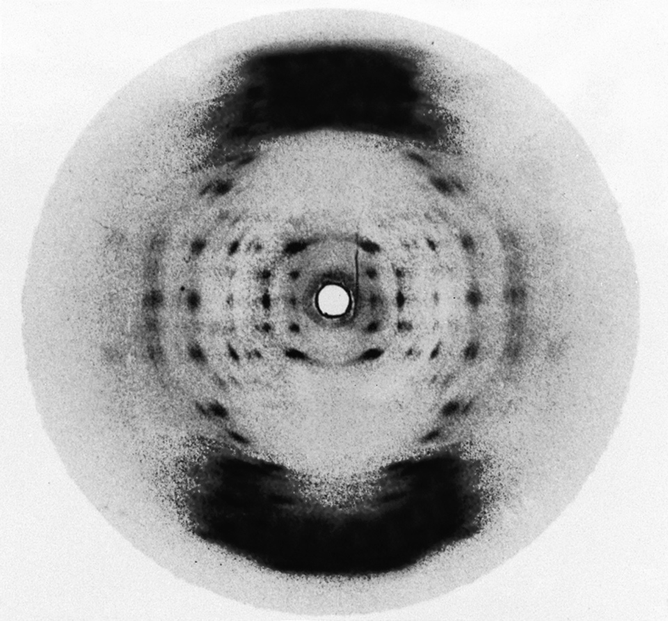 DNA