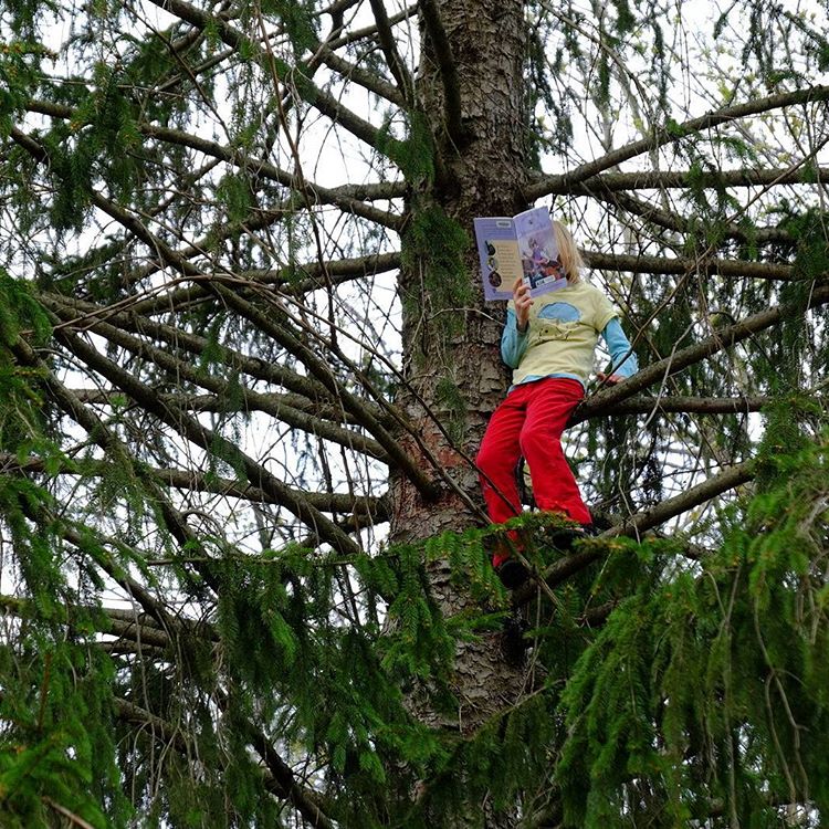 Child reading a book up a tree