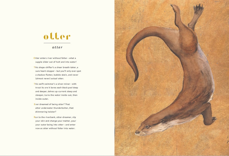 Illustration of an otter alongside poem