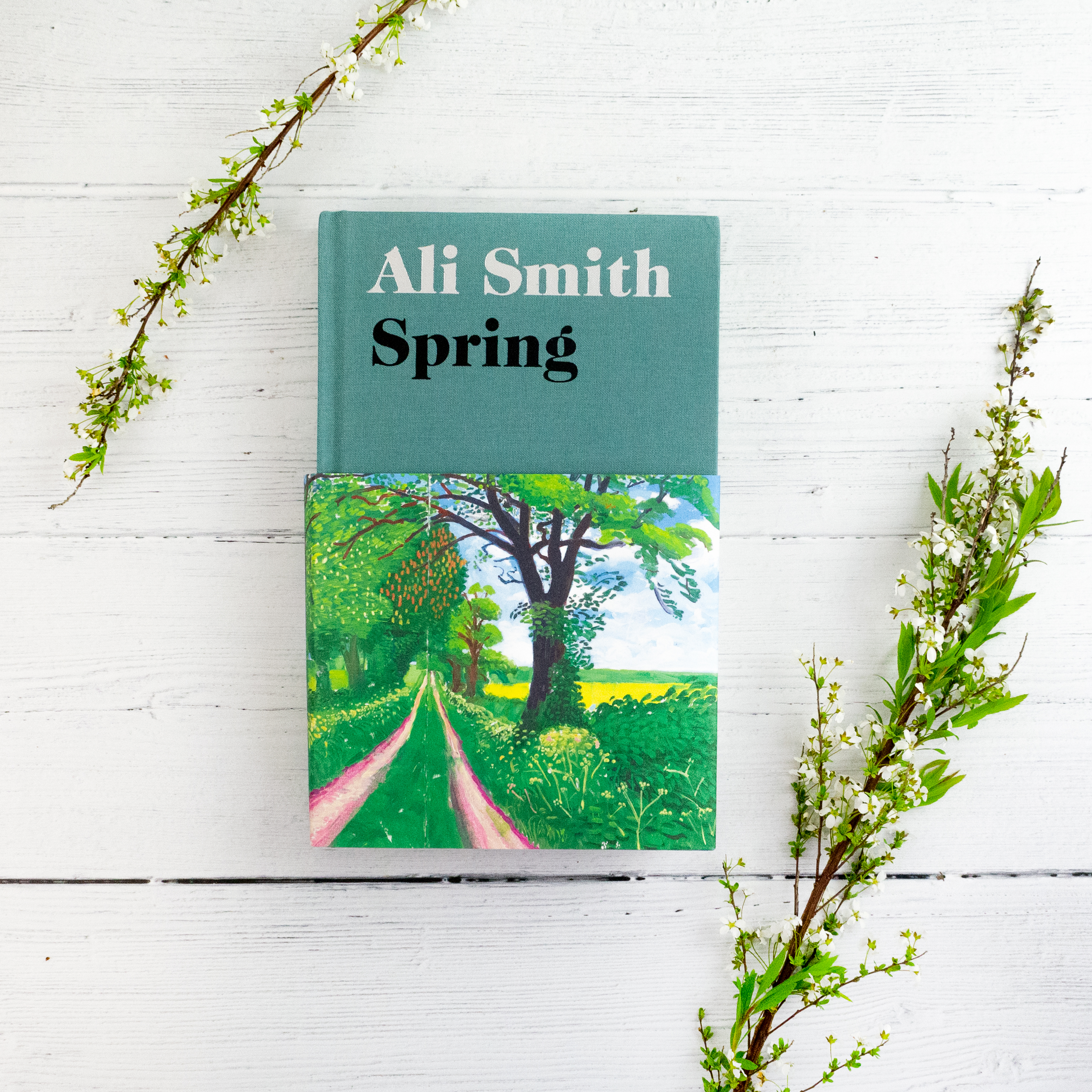 Ali Smith: Spring