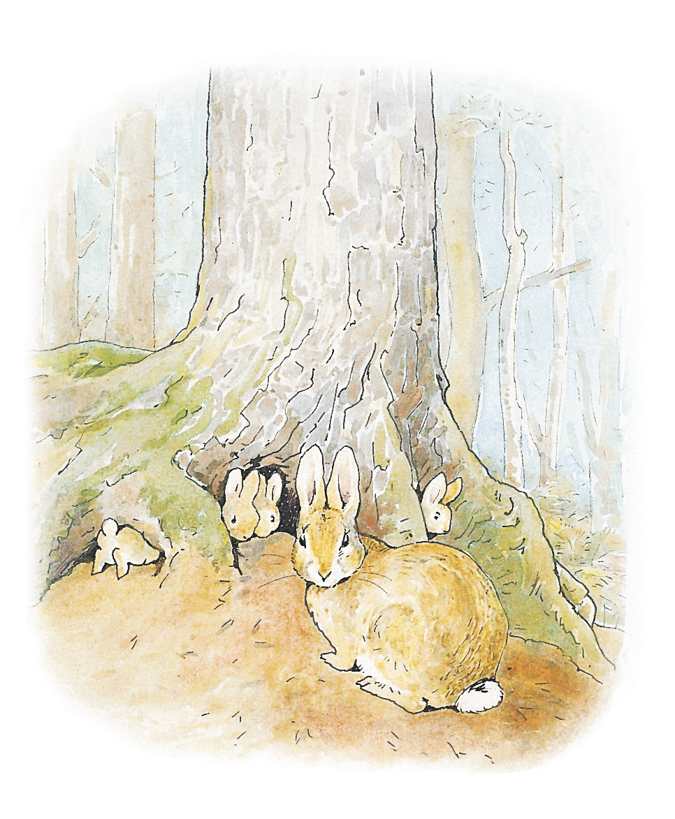 An illustration by Beatrix Potter of Peter Rabbit and his sisters