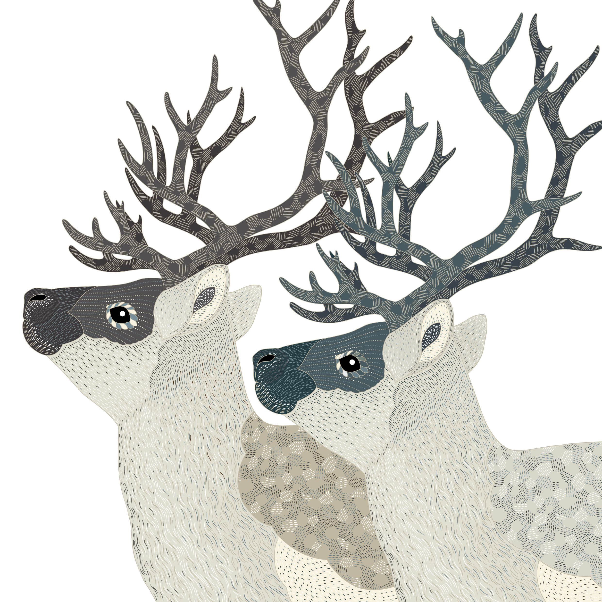An illustration by Millie Marotta of a caribou