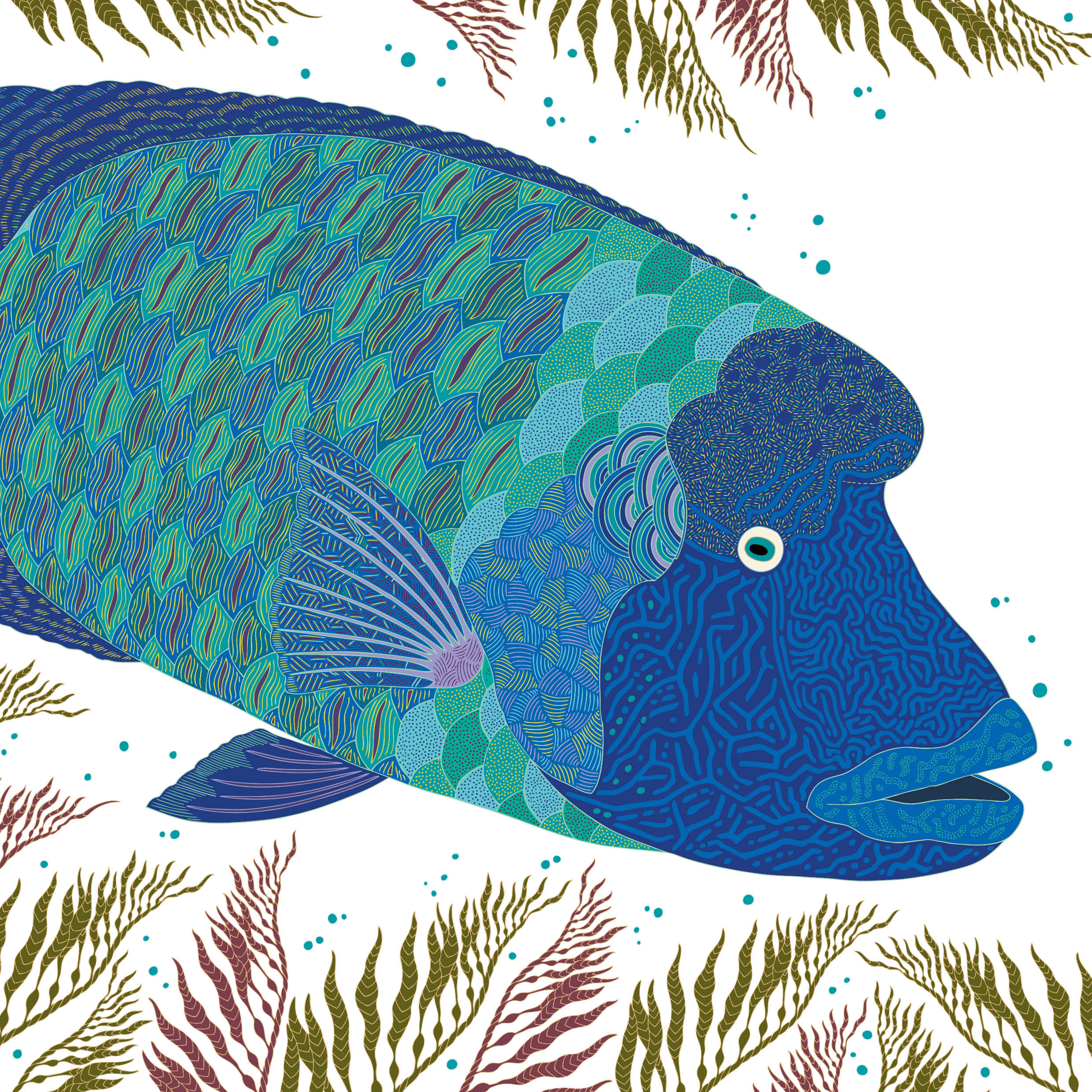 An illustration by Millie Marotta of a humphead wrasse