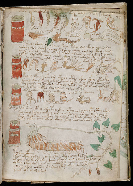 A page from the mysterious Voynich Manuscript. Photo: Wikimedia Commons