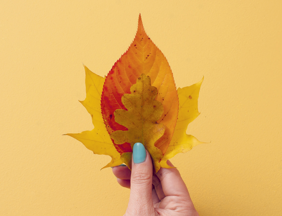 Make a leaf crown for autumn