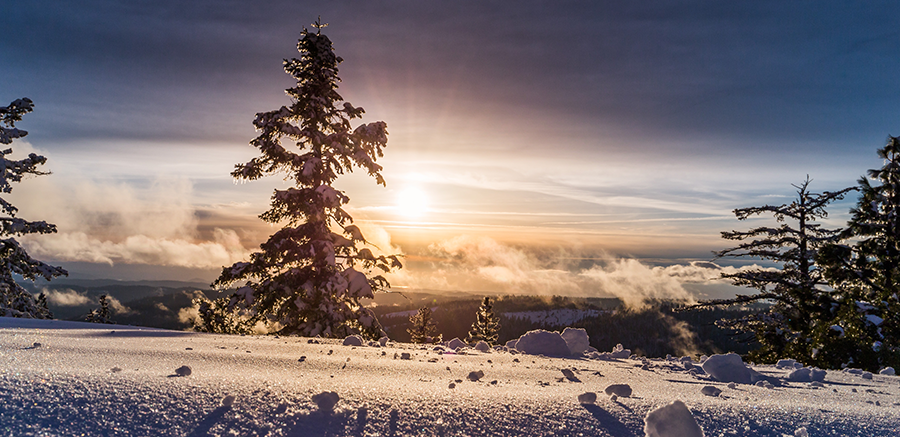 Sun rising over a hill covered in snow and trees
