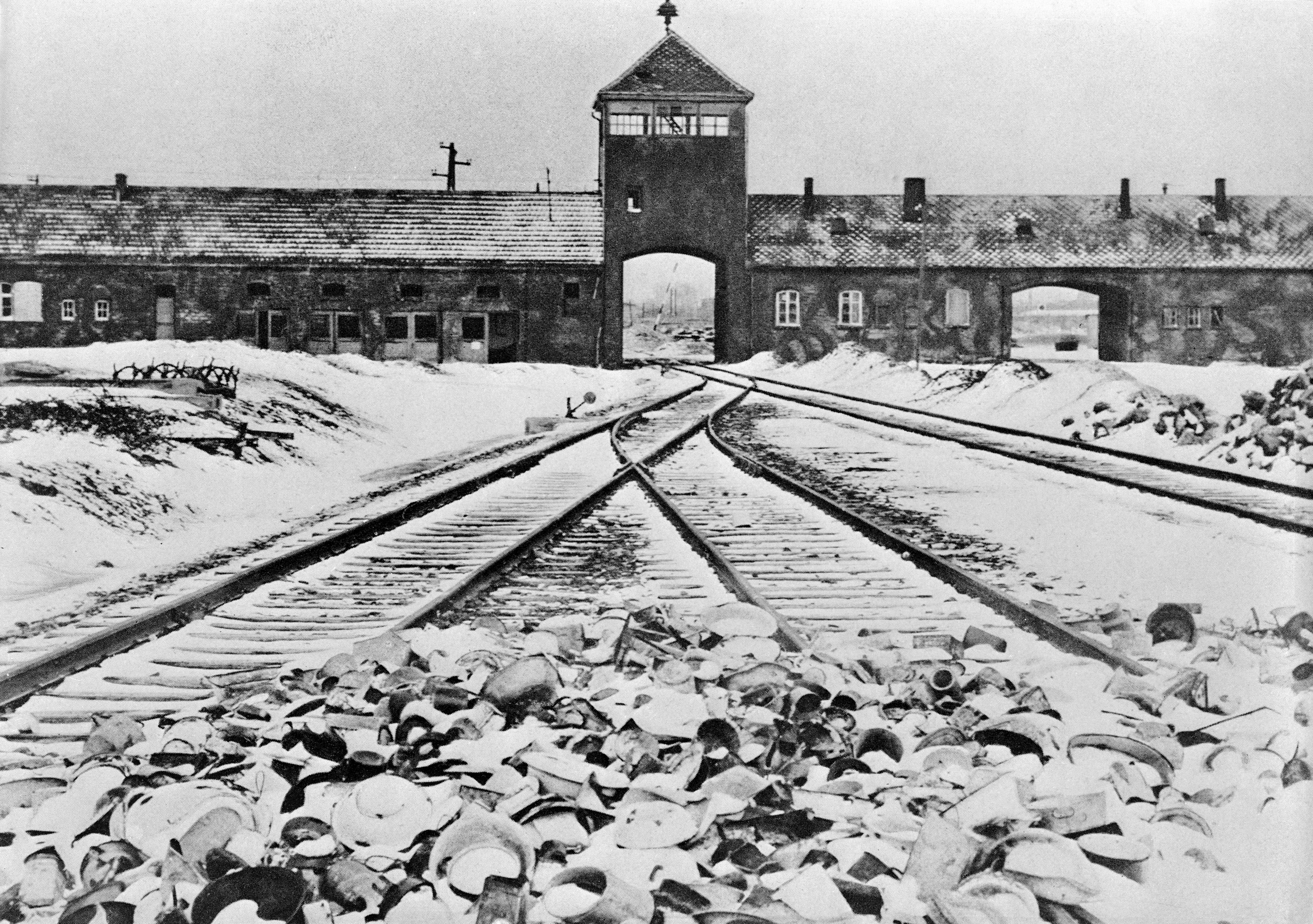 The essential books about the Holocaust