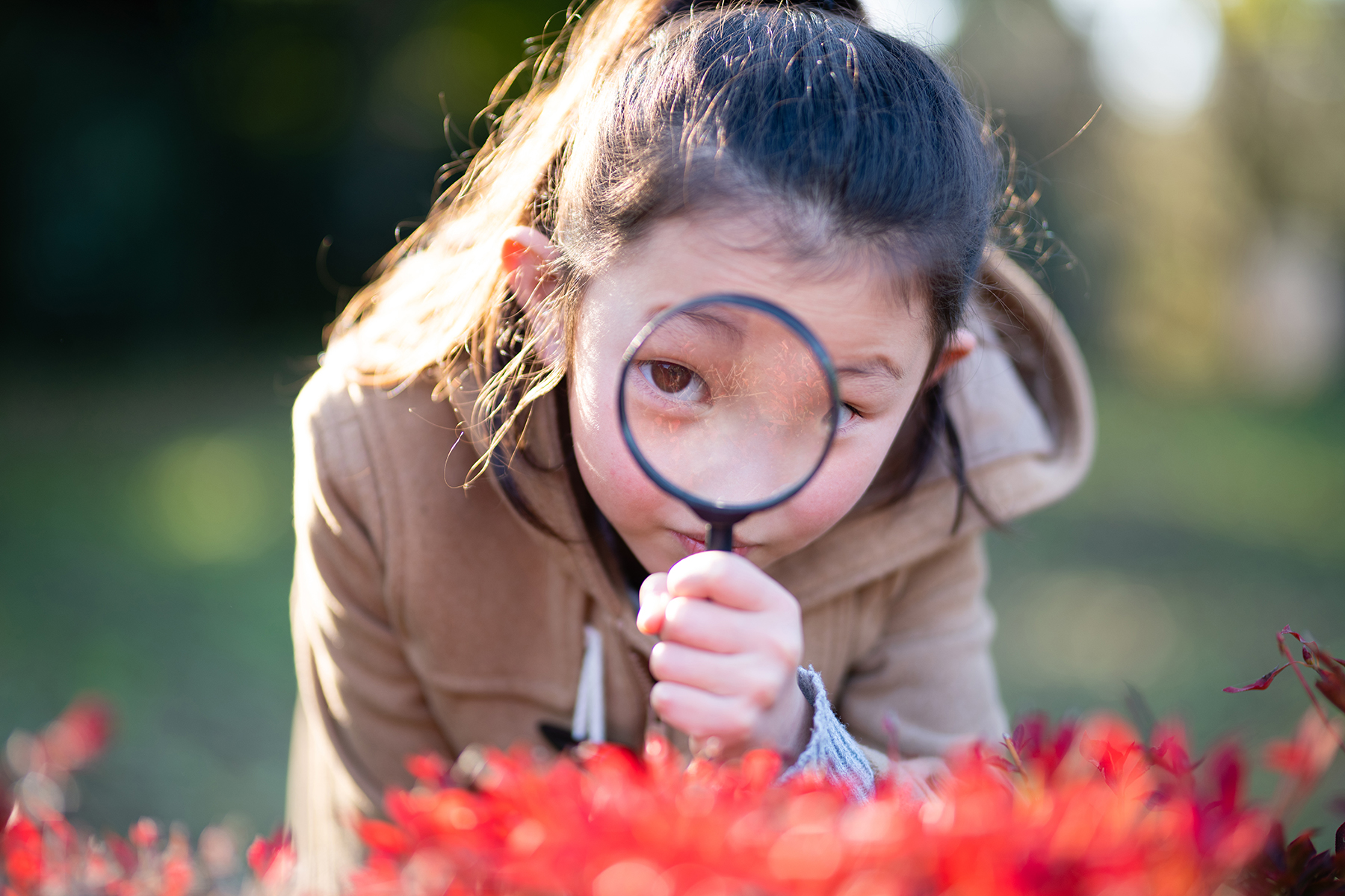 A photo of a young girl investigating and looking through a magnifying glass outside