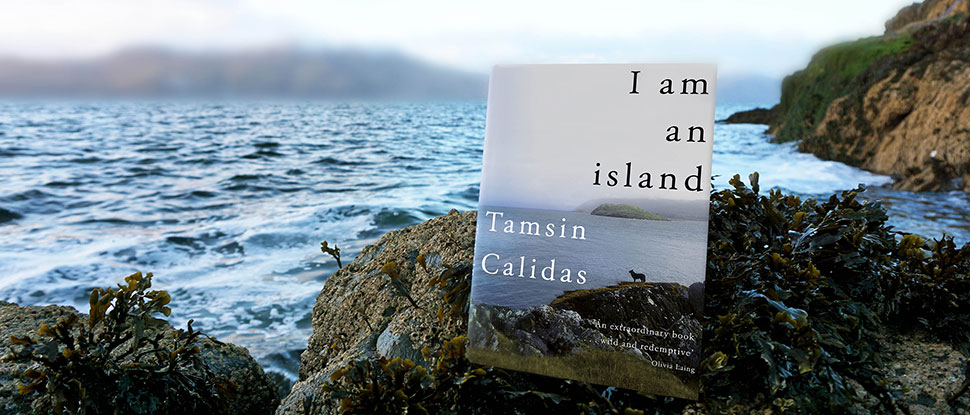 I am an Island by Tamsin Calidas