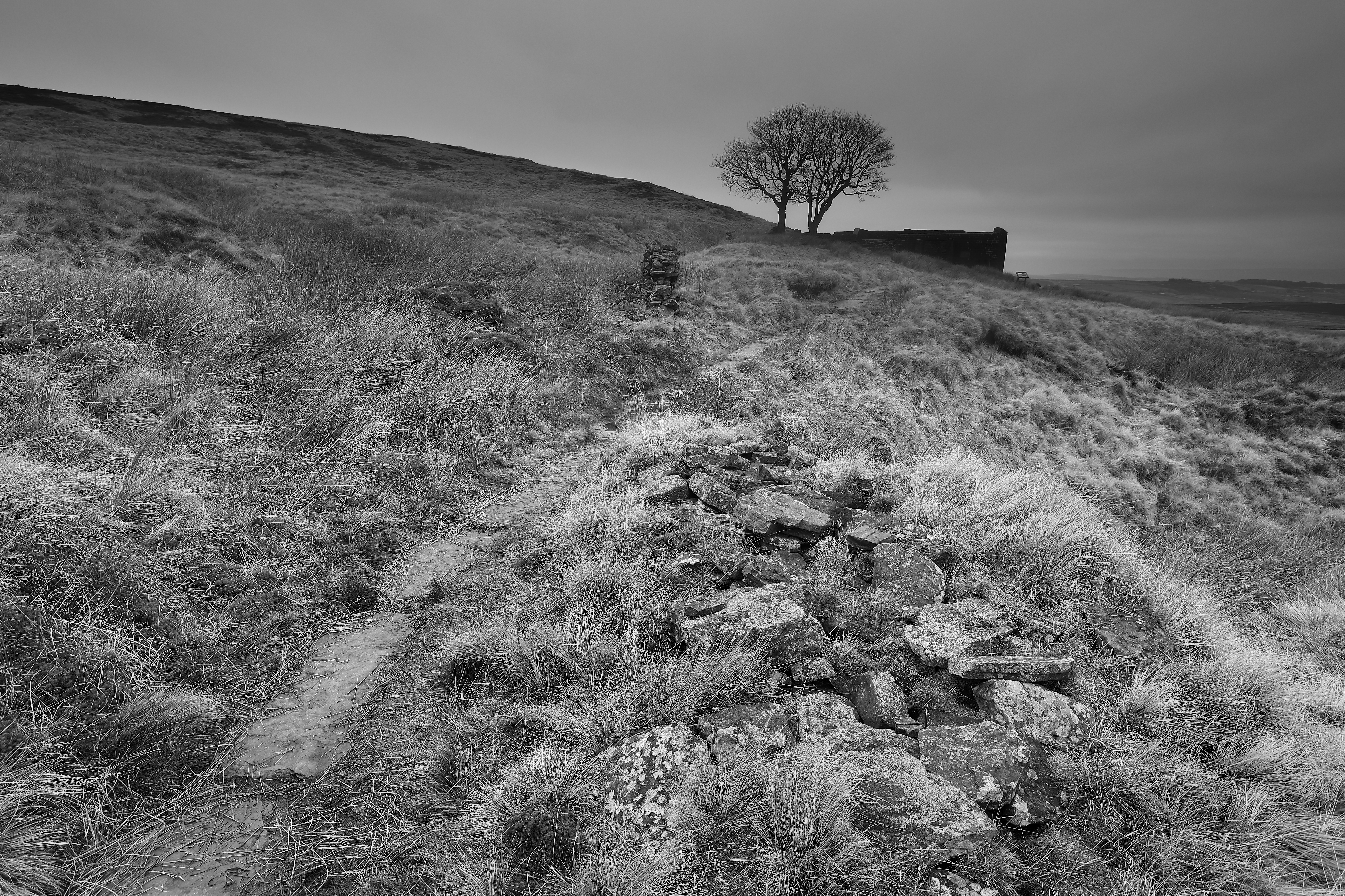 The Yorkshire Moors of Wuthering Heights. Image: Martin Priestly