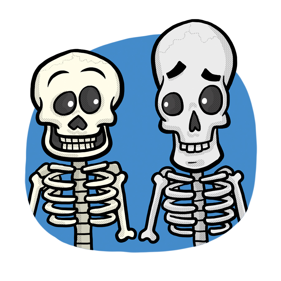 An illustration of two skeletons from Operation Ouch!: The HuManual