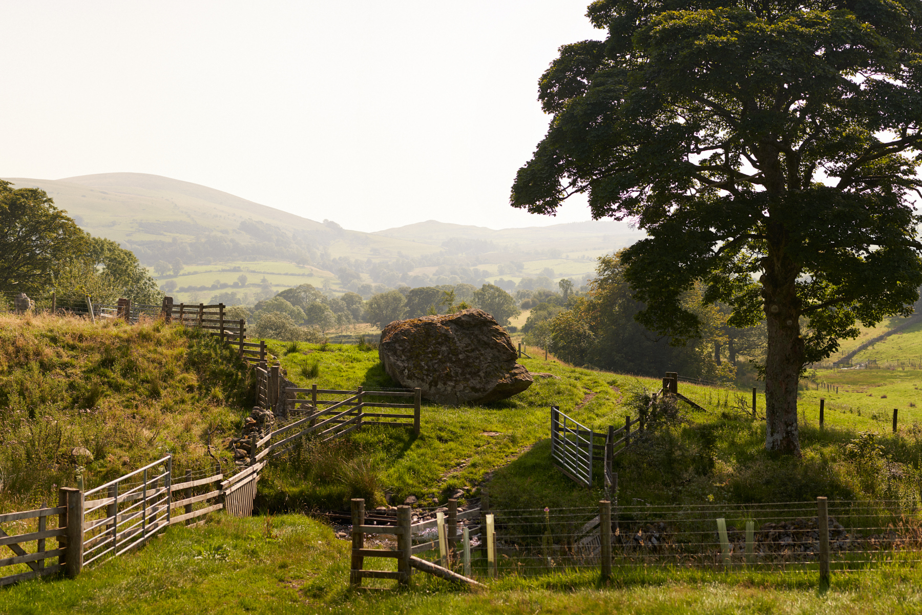 The Rebanks' farm. Image: Stuart Simpson/Penguin