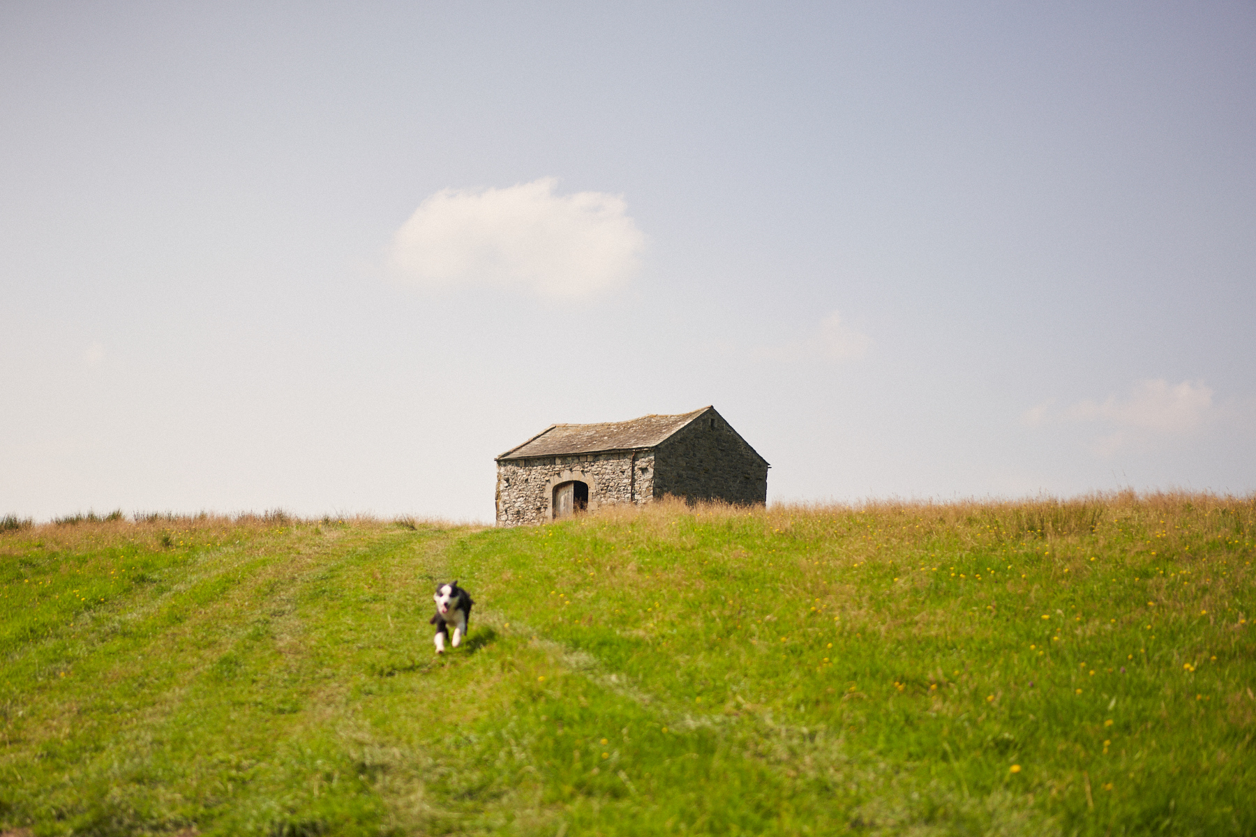 The Rebanks' barn. Image: Stuart Simpson/Penguin