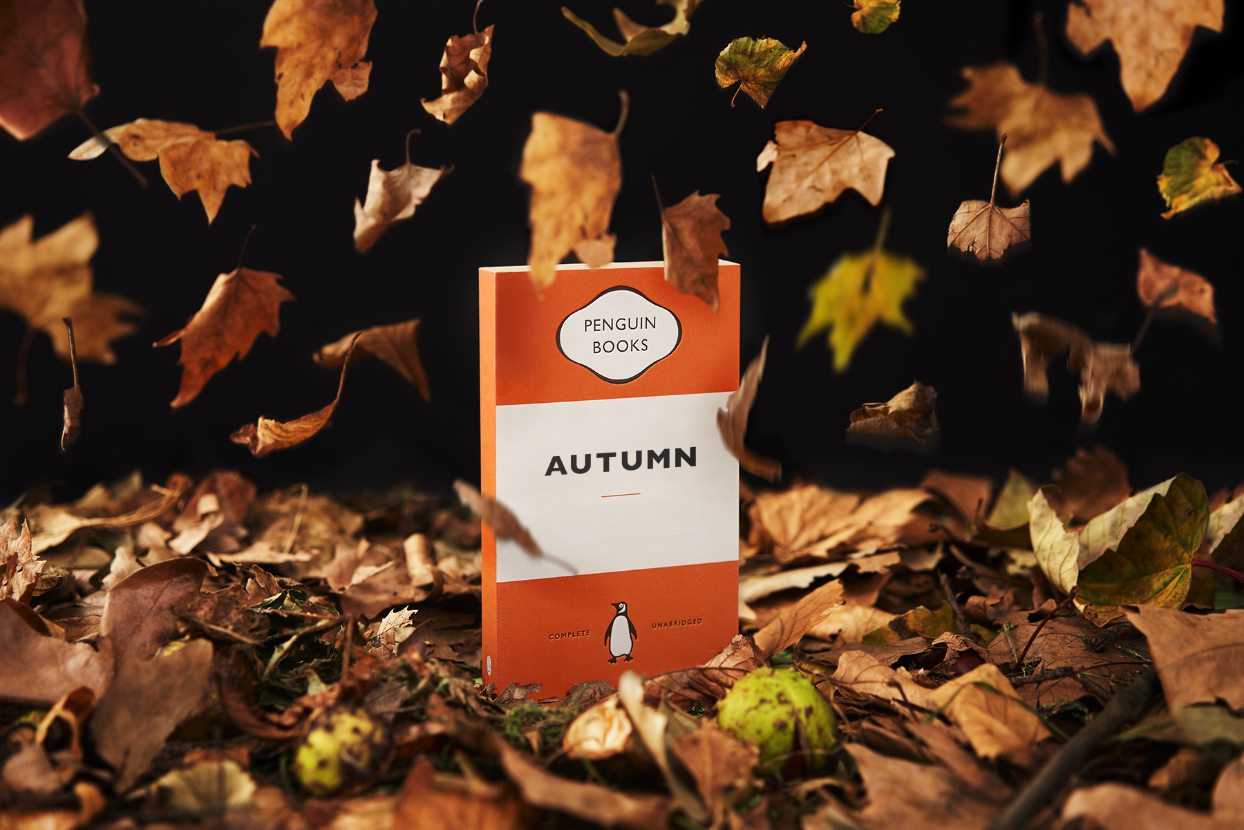 books autumn