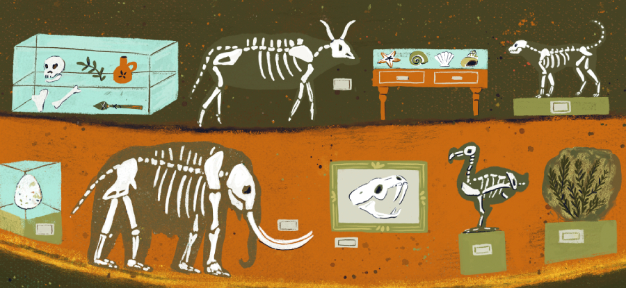An illustration of different fossils and bones from extinct species such as the mammoth and dodo bird