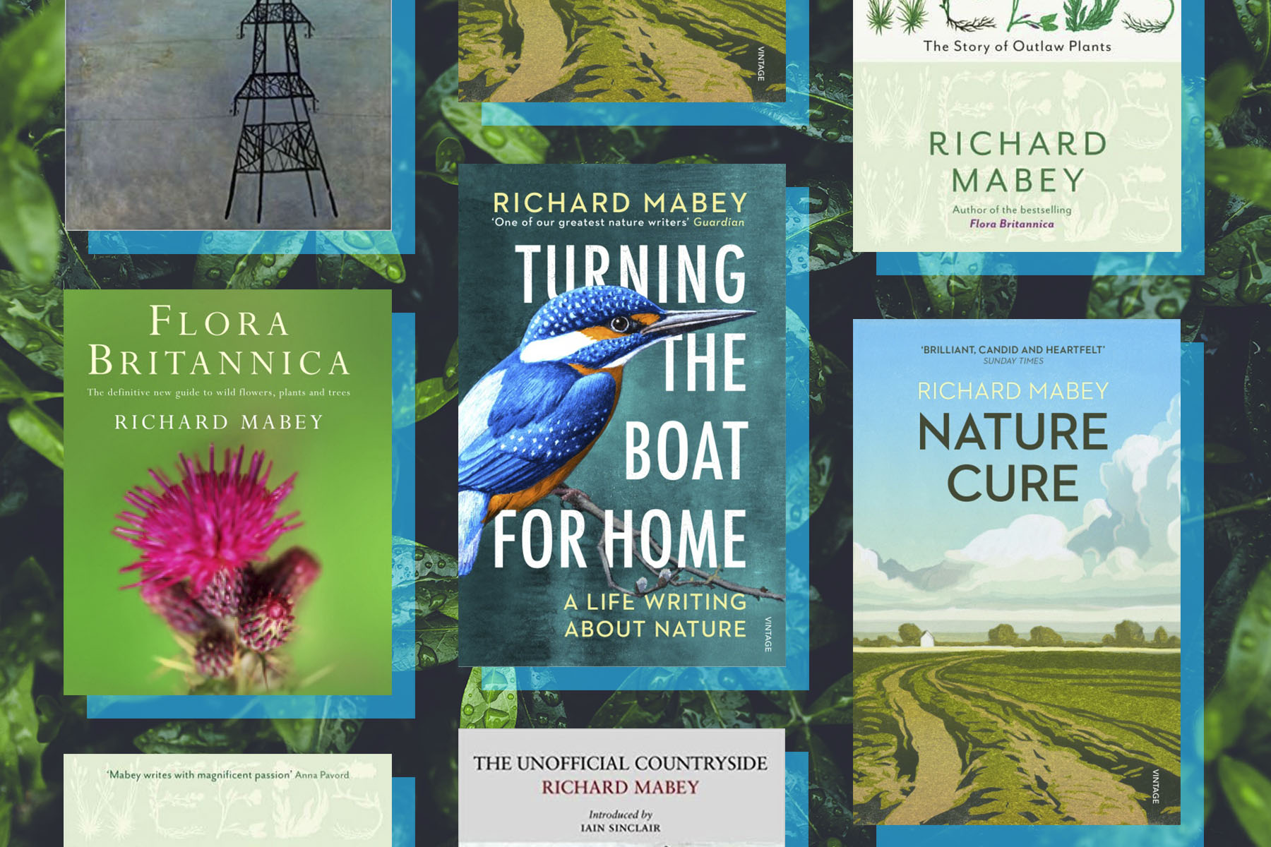 Covers of Richard Mabey's books against a botanical background.
