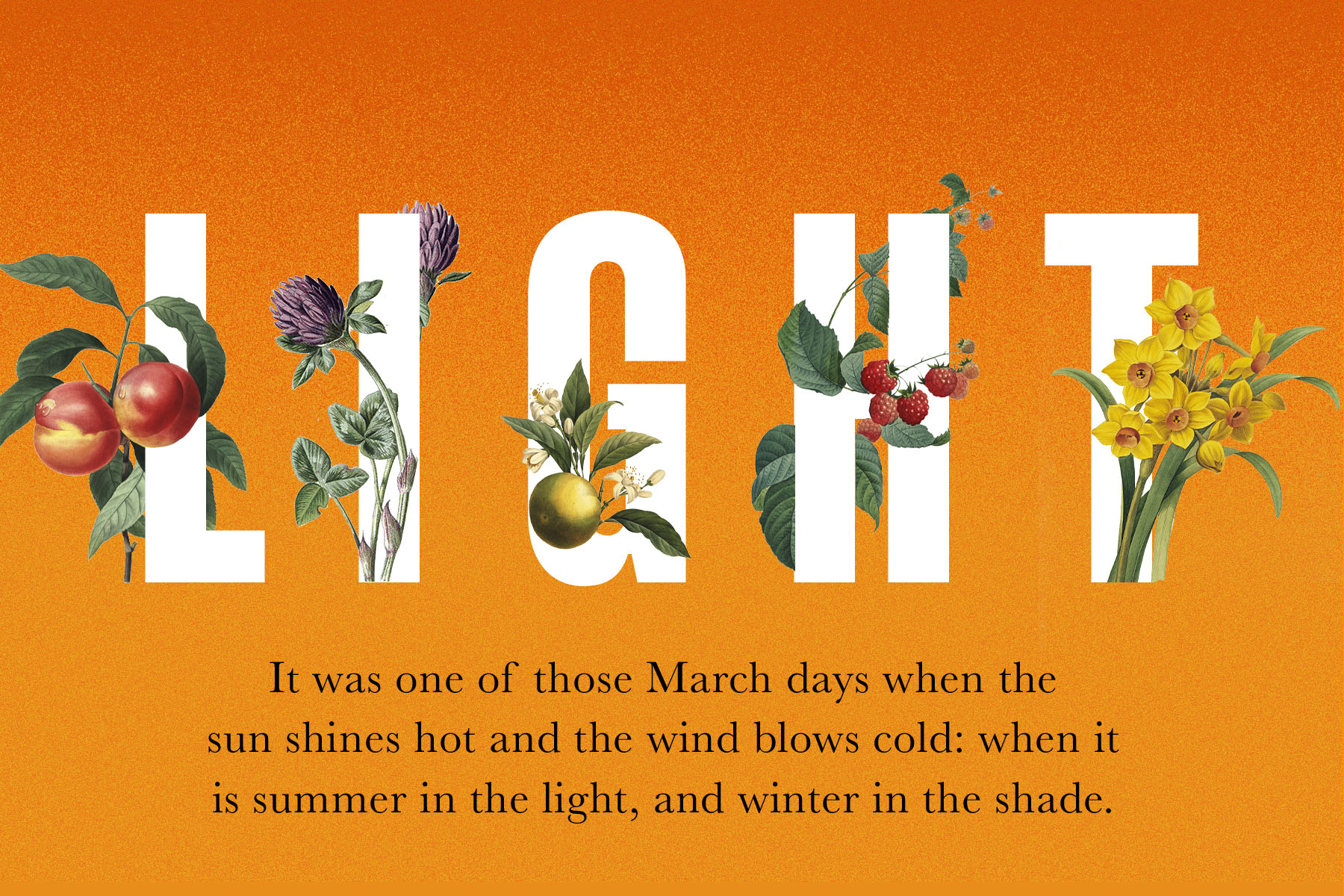 Joyful illustration of the word 'light' with flowers growing out of it.