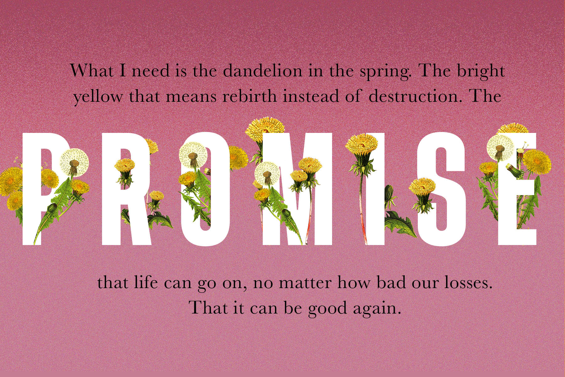 A joyous illustration of the word 'promise' with flowers growing out of the letters.