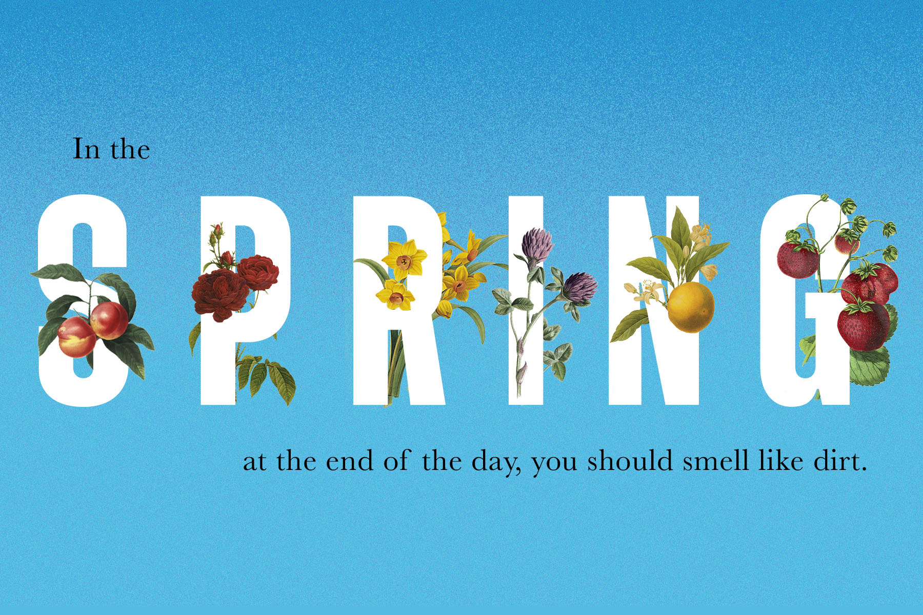 A joyous illustration of the word 'spring' with flowers growing out of it.