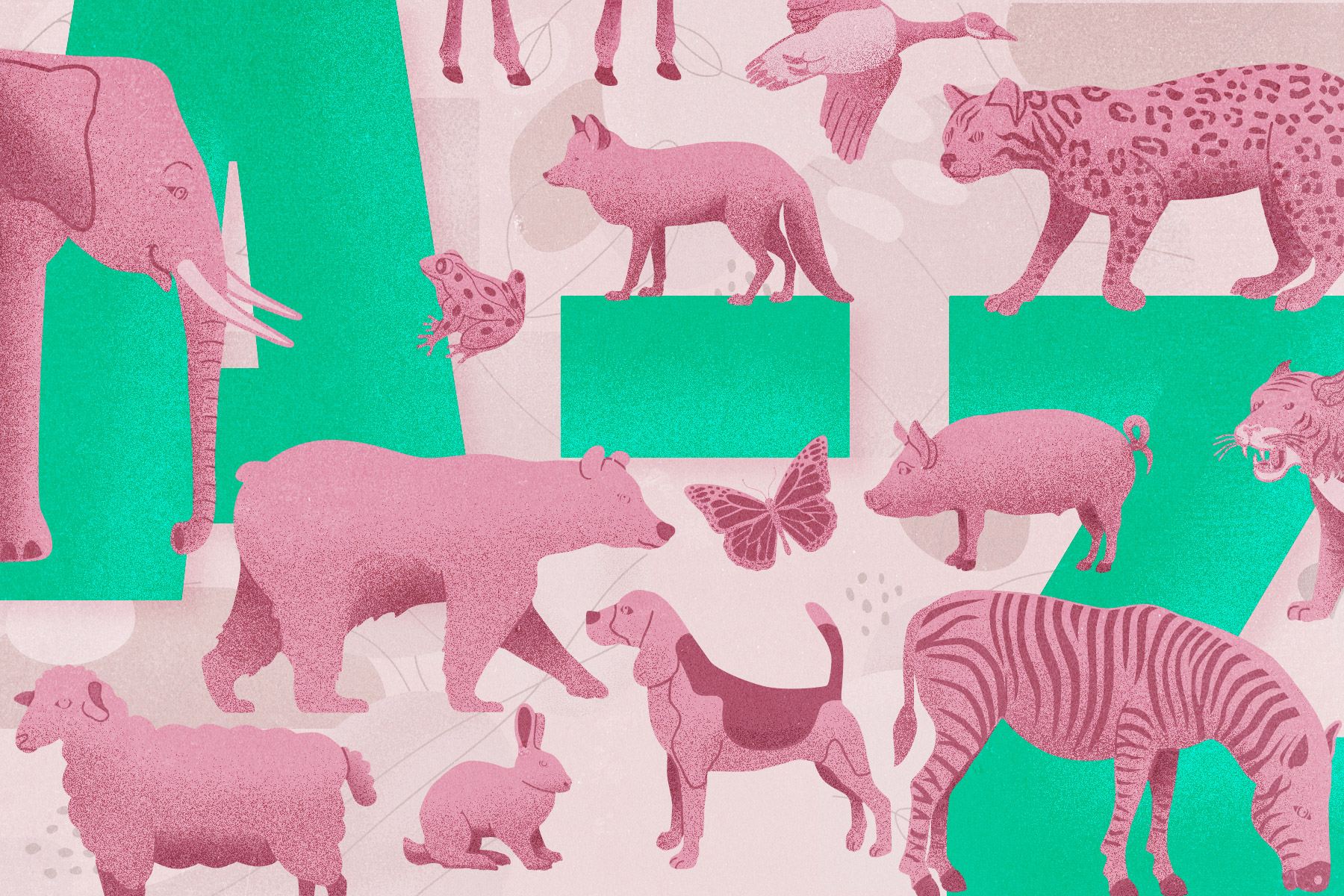 An illustration of pink animals against a lighter pink background and green 'A' and 'Z' letters