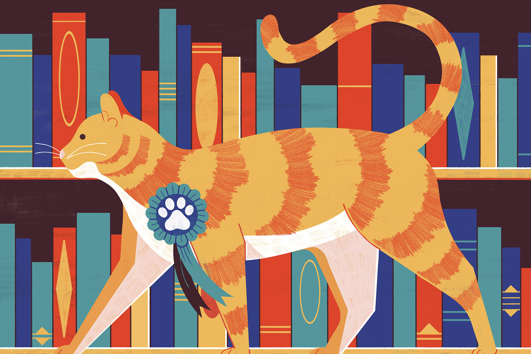 An illustration of a stripy ginger cat standing in front of a bookcase full of books.
