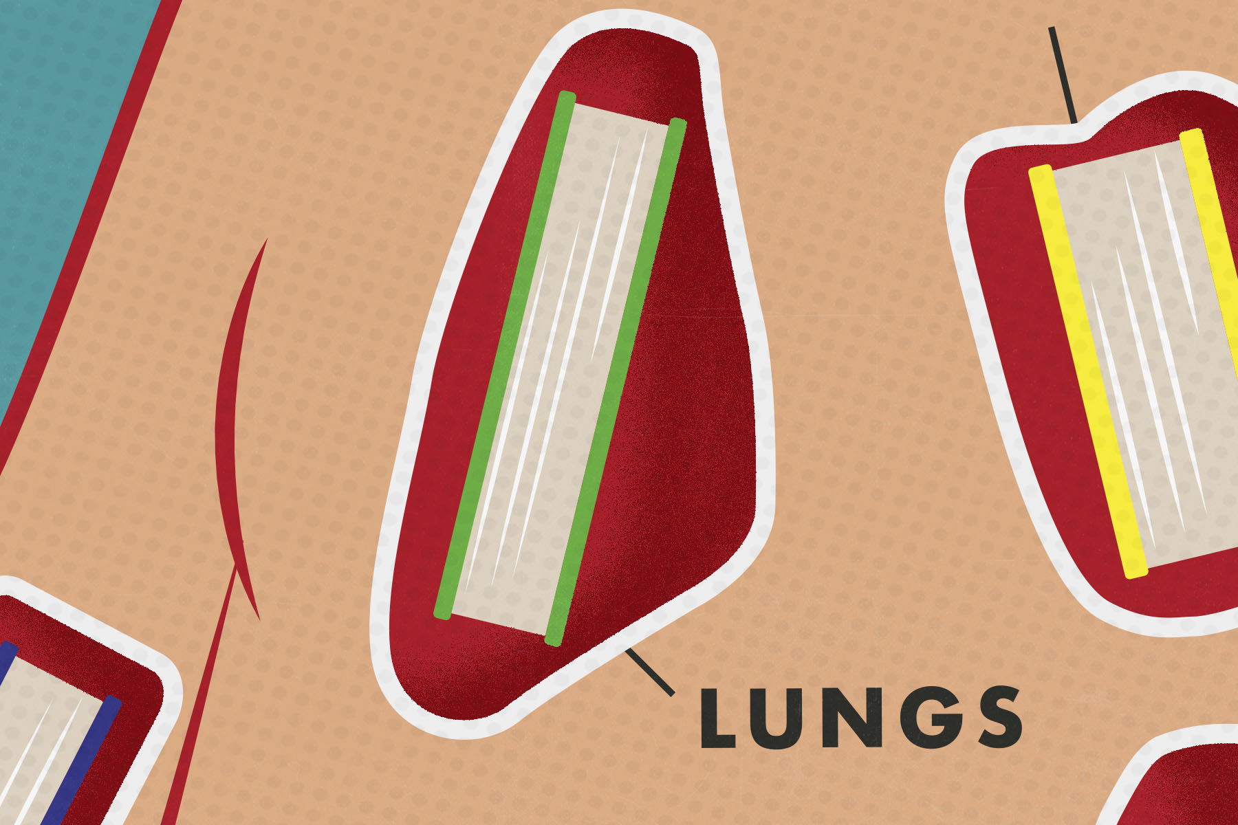 A boardgame-style illustration of books in the place of lungs