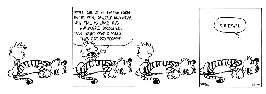 A Calvin and Hobbes comic strip by Bill Watterson in which Calvin is wondering why his cat Hobbes is so tired that he needs to spend the day snoozing.
