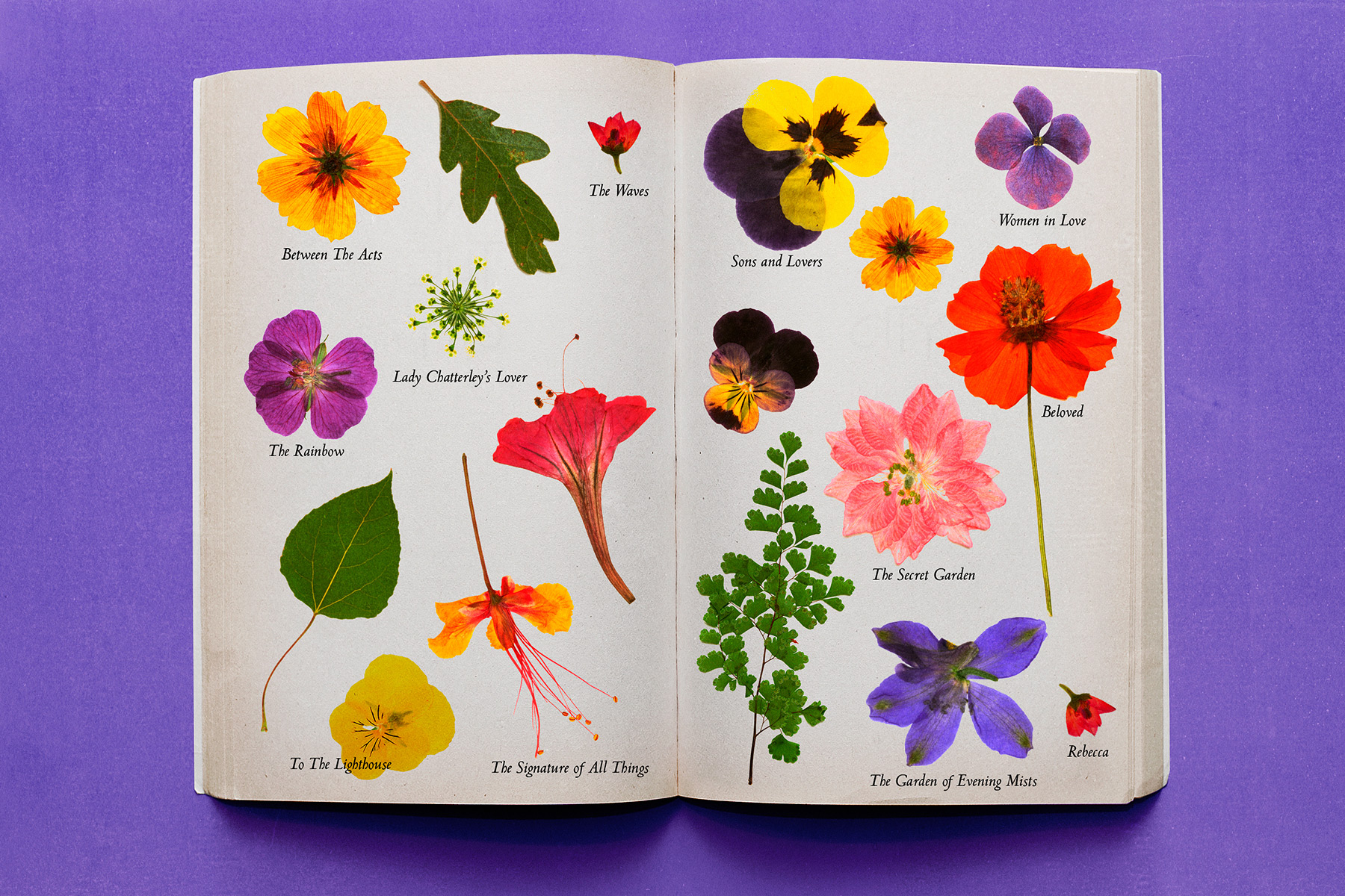 Pressed flowers between the pages of a book with names of books underneath them