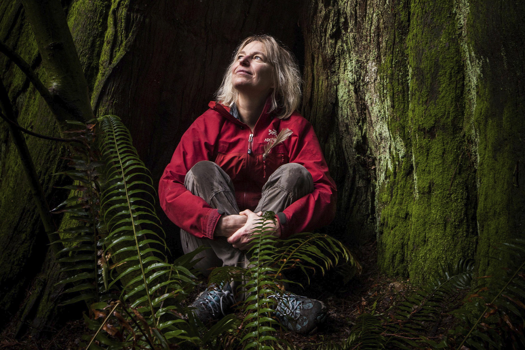 A photograph of Suzanne Simard sitting at the base of a tree.