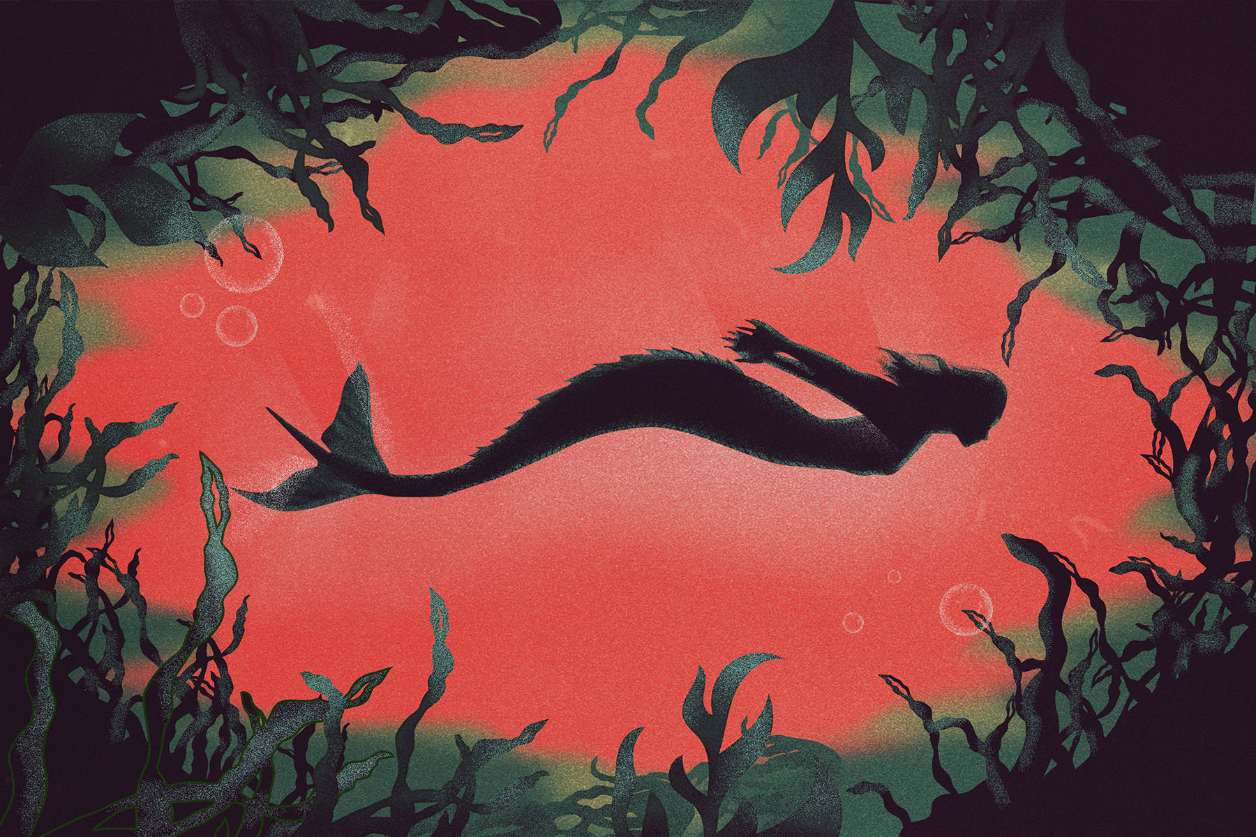 An illustration of a mermaid swimming from the side