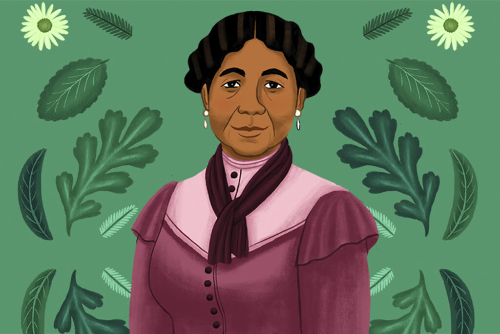 A photo of an illustration of Mary Seacole from the book The Extraordinary Life of Mary Seacole