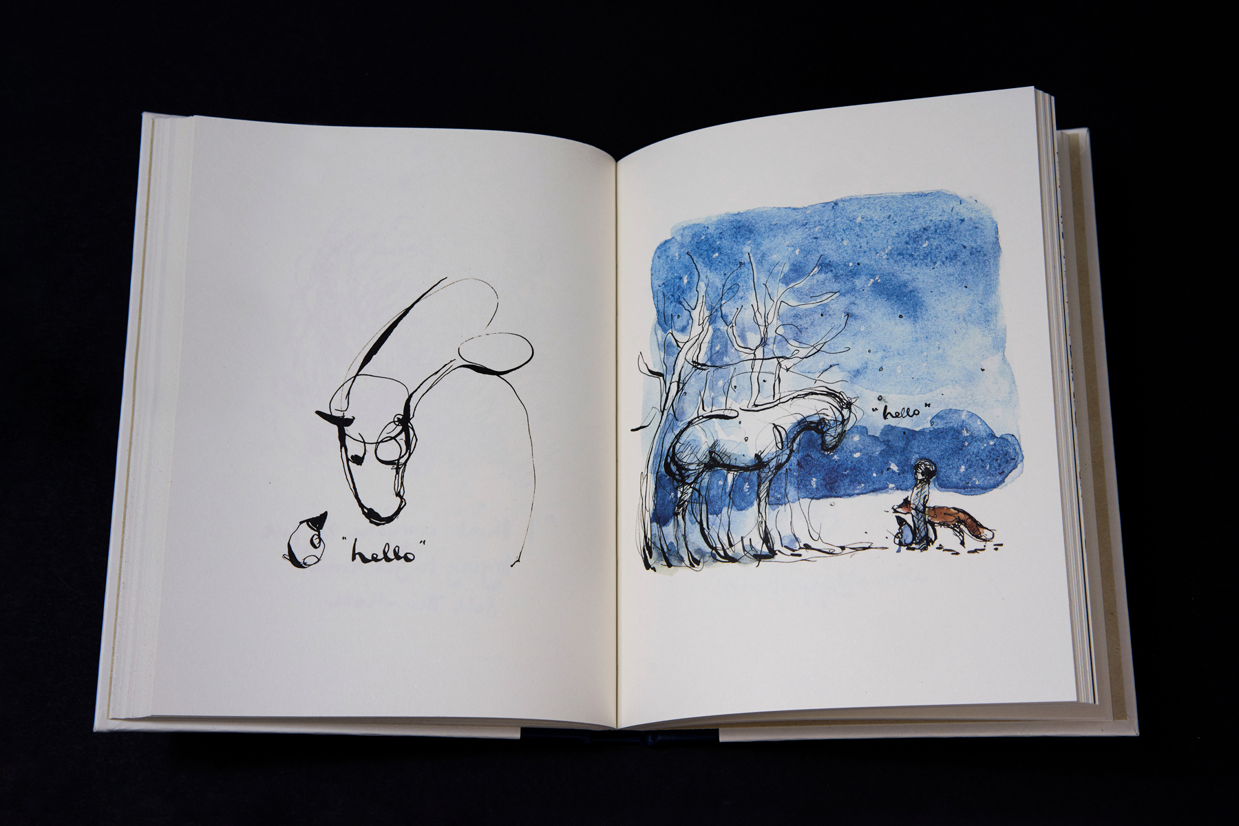 The Boy, The Mole, The Fox and The Horse