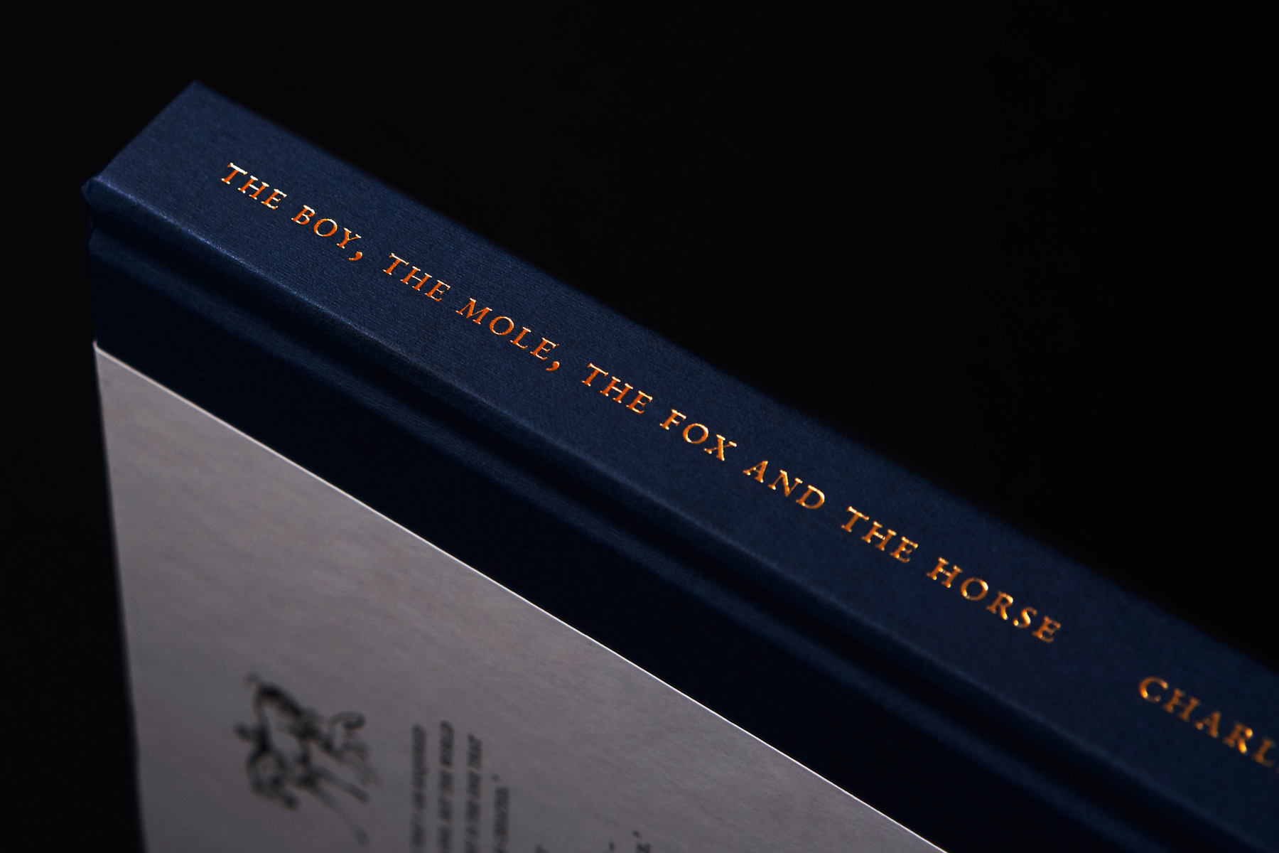 The Boy, The Mole, The Fox and The Horse