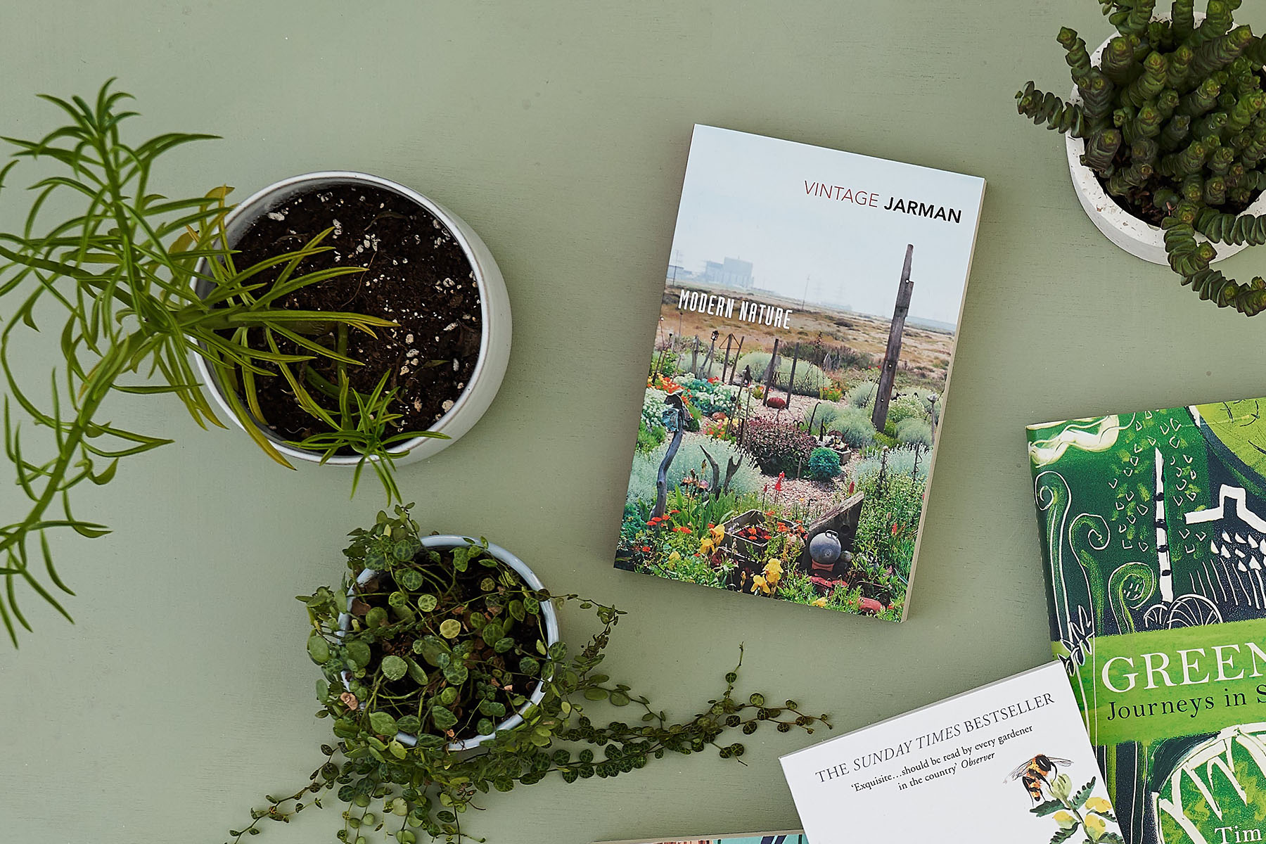 Flat lay of Modern Nature by Derek Jarman against a green background, surrounded by plants
