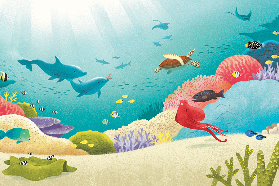 Illustration of the coral reefs