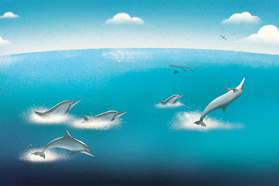 Illustration of the big blue