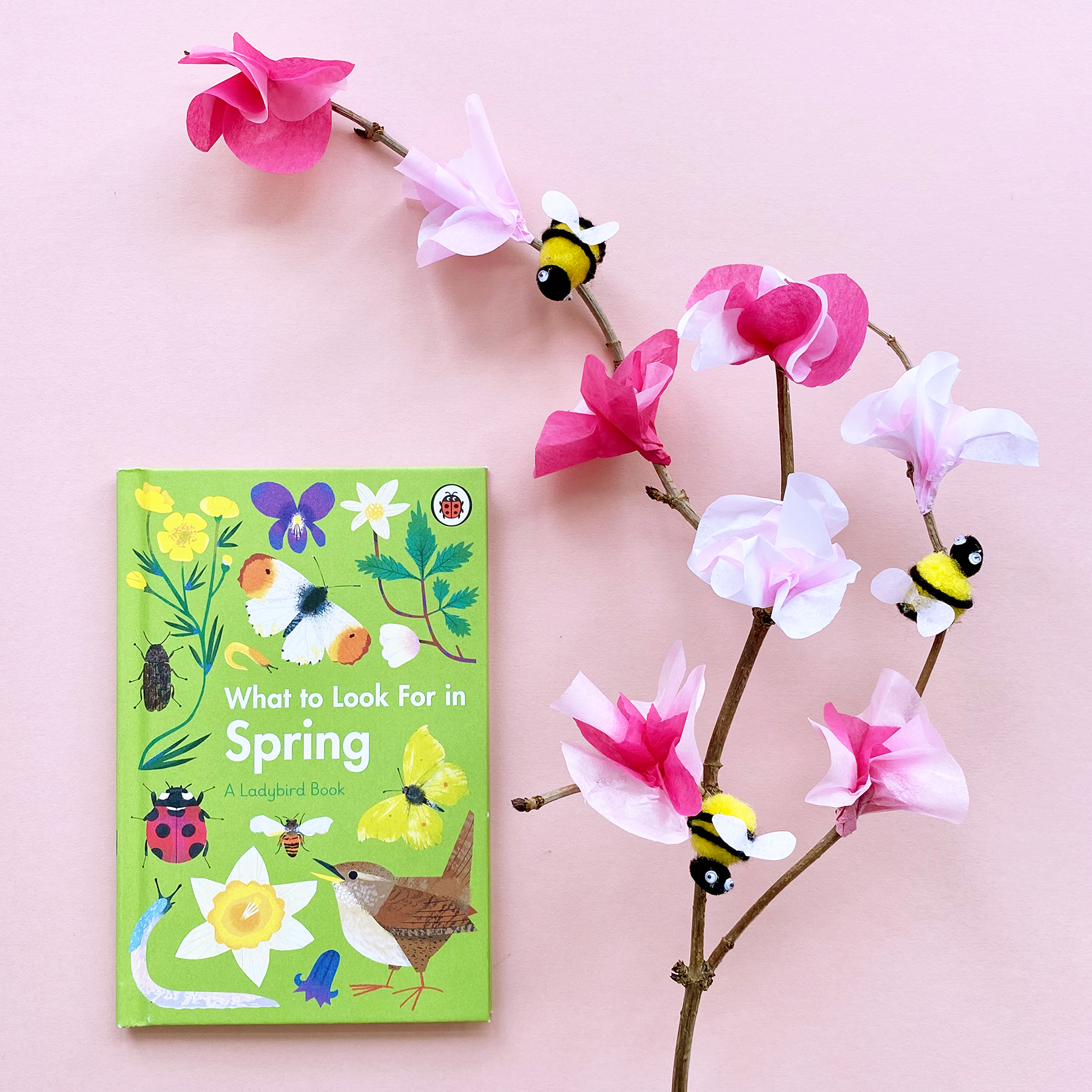 Photograph of homemade cherry blossoms and bees alongside a book called What to Look for in Spring by Elizabeth Jenner
