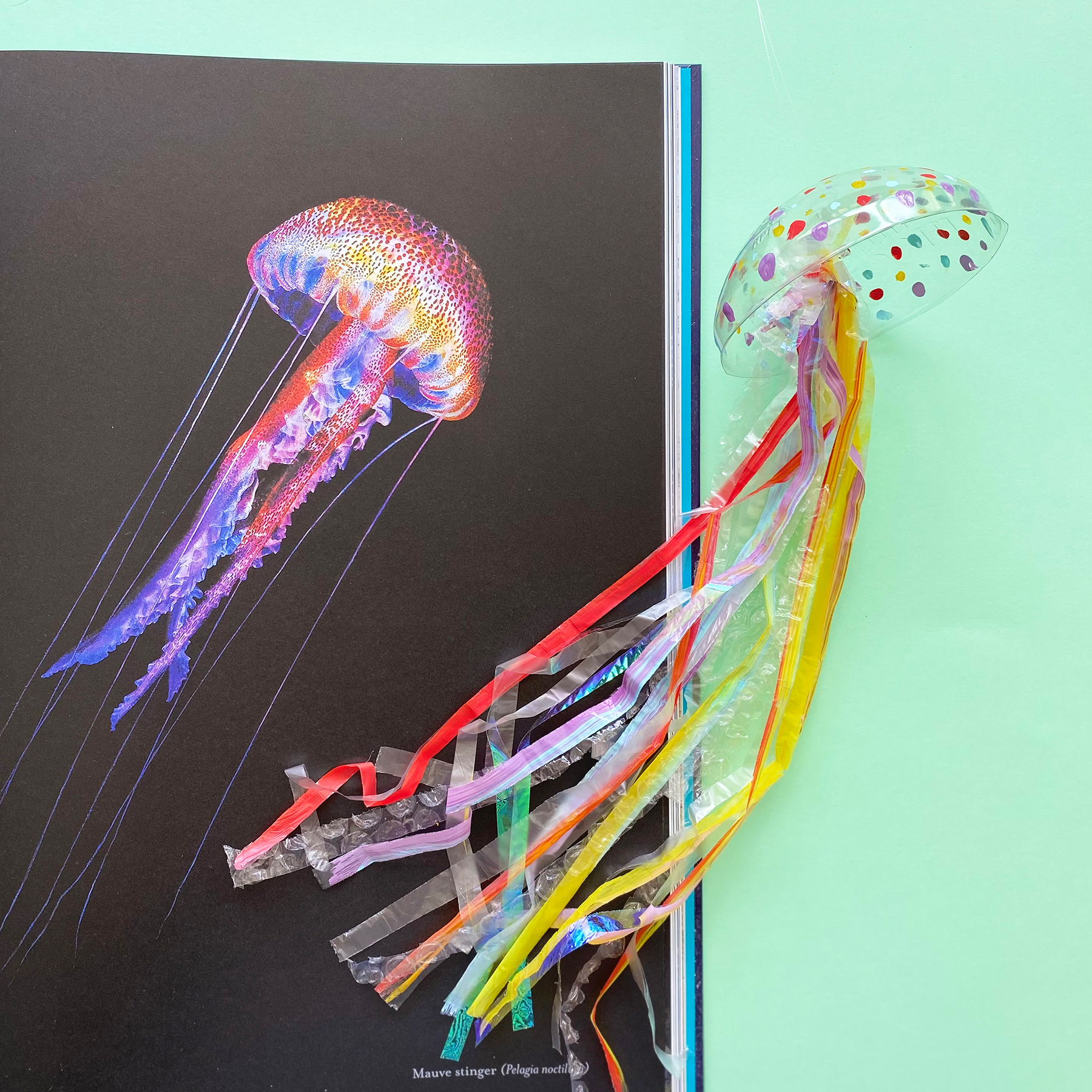 A photo of a recycled jellyfish mobiles next to Ben Rothery's drawing of a jellyfish in his book Water World on a mint green background