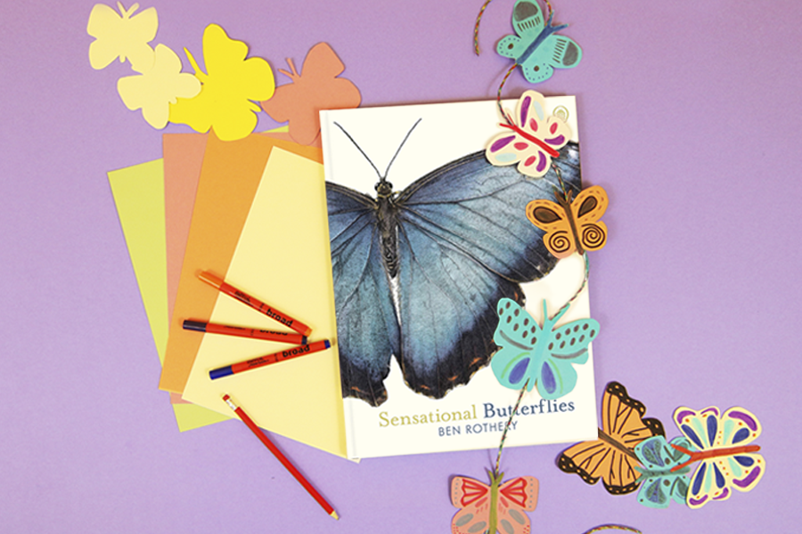 sensational butterflies activity