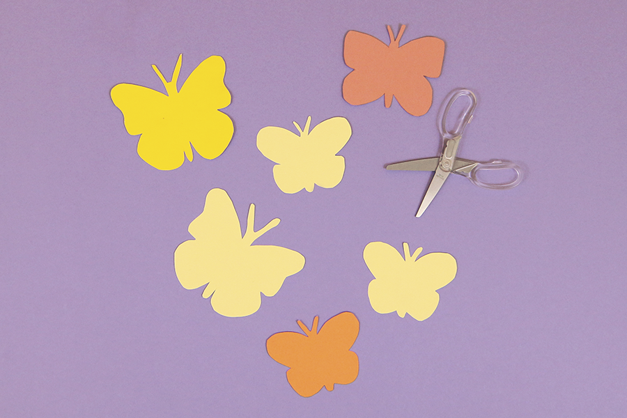 sensational butterflies activity