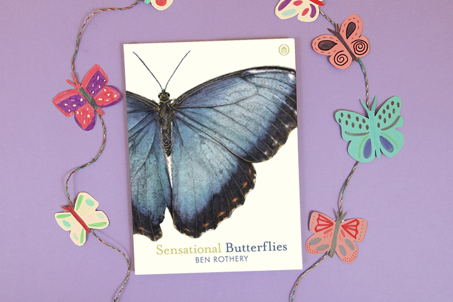 sensational butterflies activity
