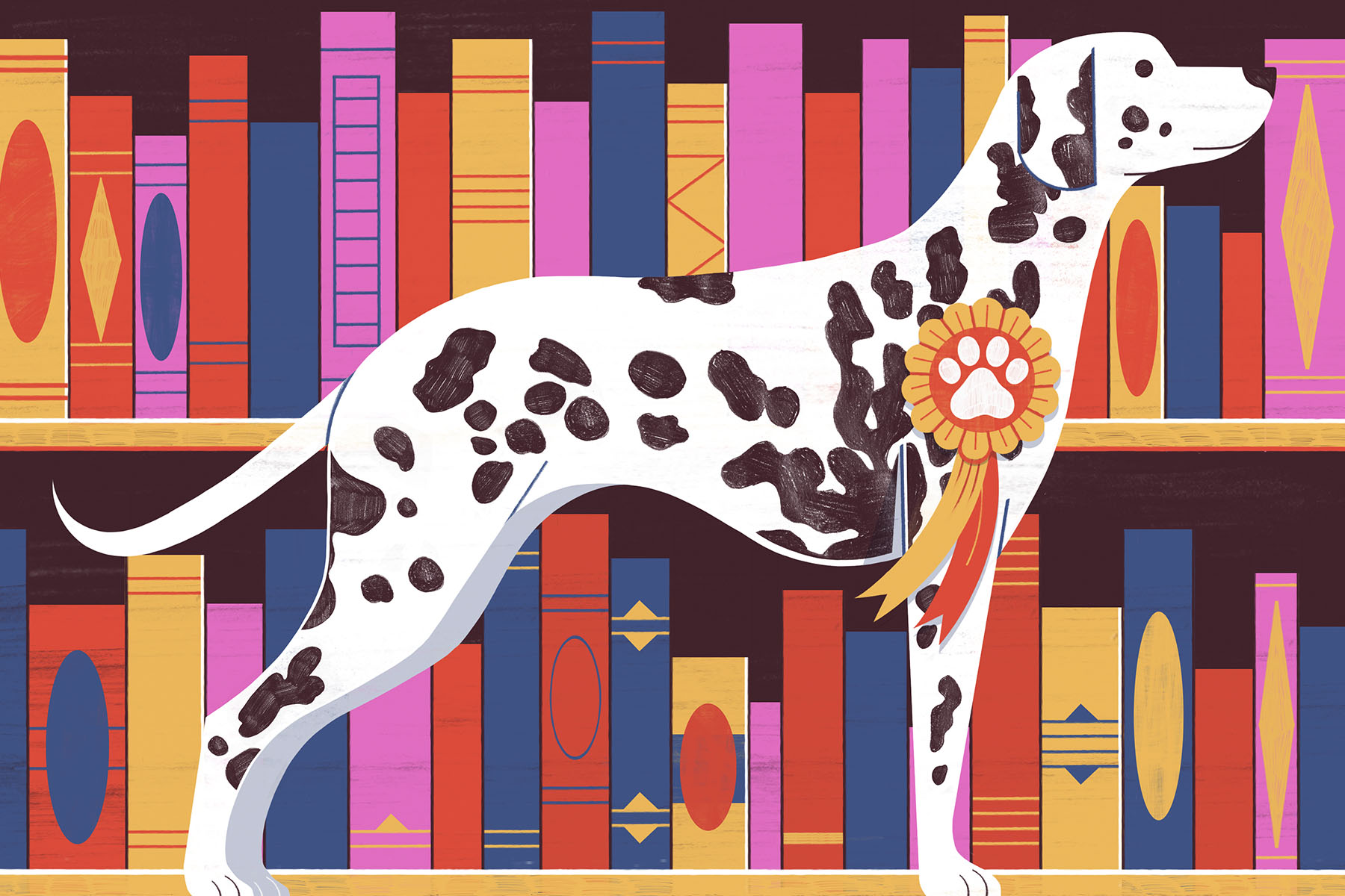 An illustration of a Dalmatian dog standing in front of a bookcase full of books.