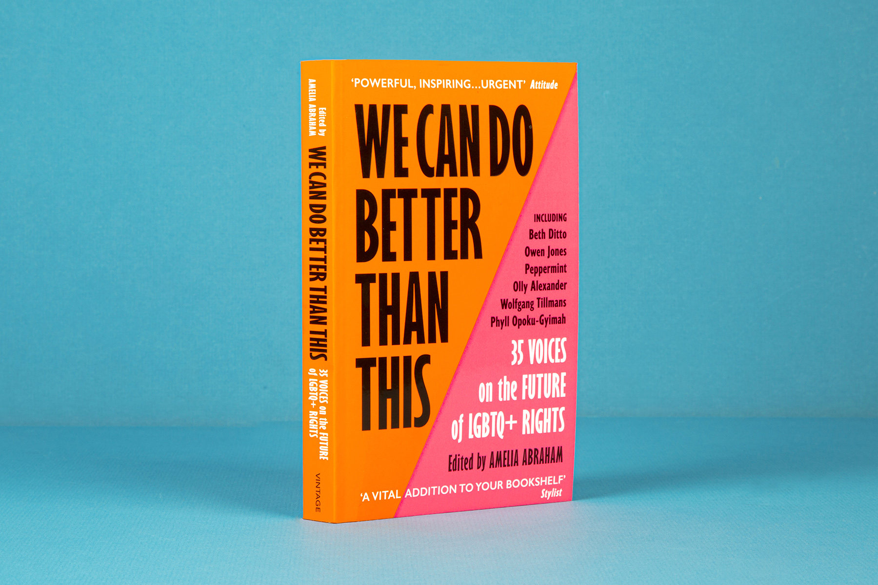 The book We Can Do Better Than This by Amelia Abraham standing upright against a blue background