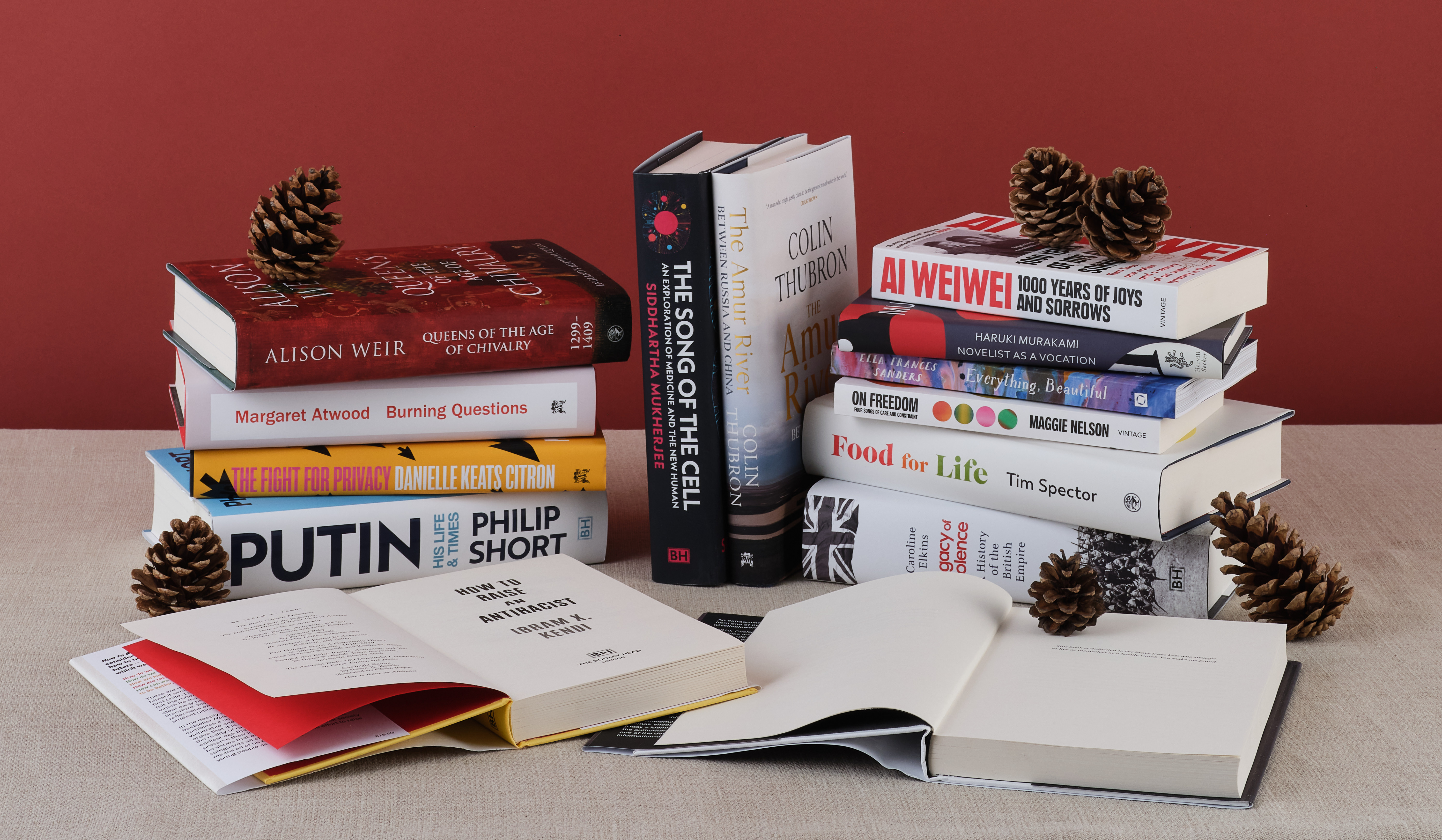 Selection of books in front of red background with pine cones.