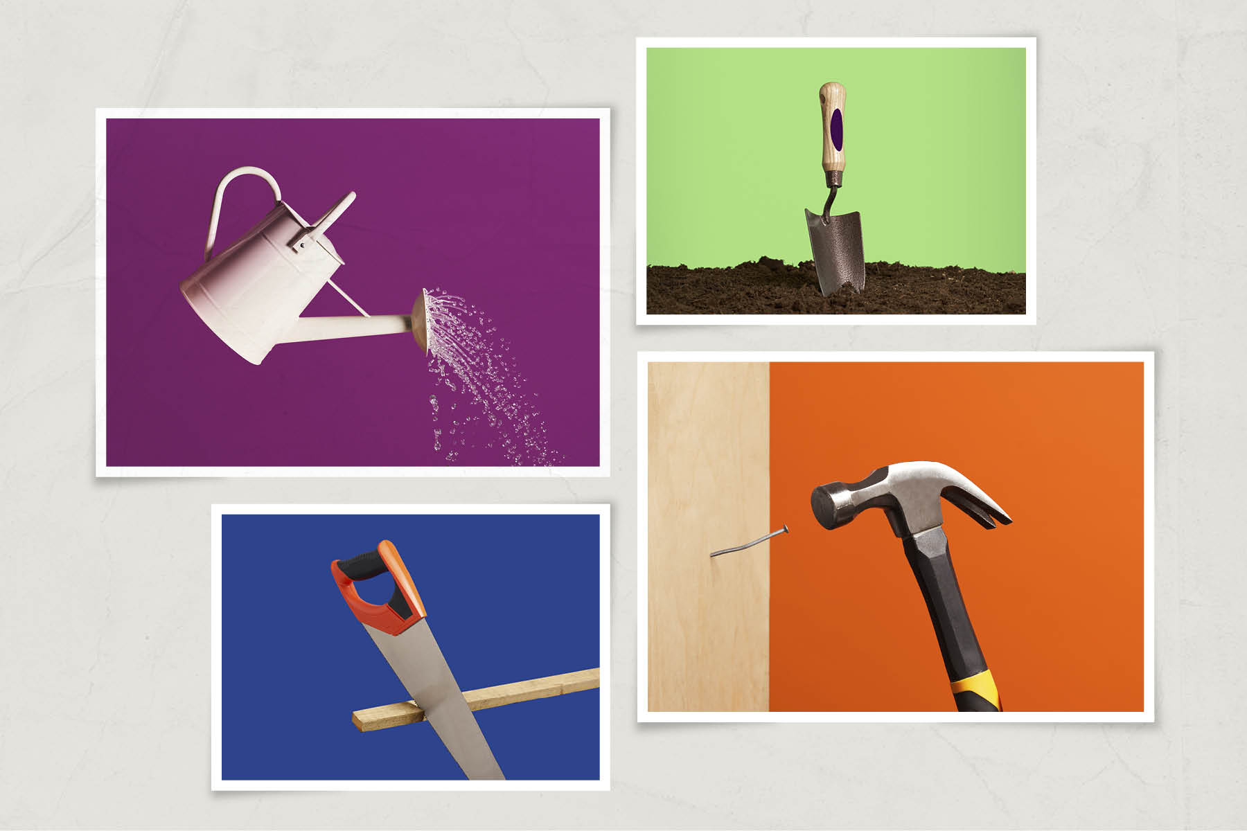 Clockwise from top left: a pale pink watering can spouting water, against a purple background; a trowel sticking out of a mound of soil on a bright green background; a hammer and nail against an orange background; a saw and plank of wood against a dark blue background. 